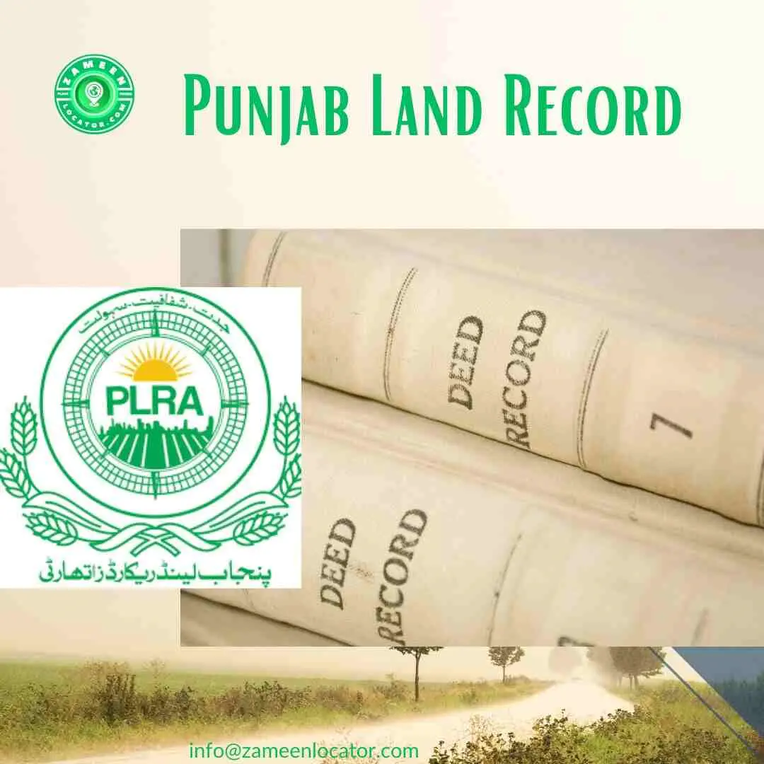 How to Check Punjab and Sindh Land Records Online in Pakistan