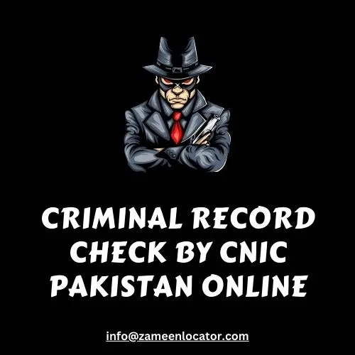 Unveiling Transparency: Criminal Record Check by CNIC in Pakistan - A Guide to Online Verification
