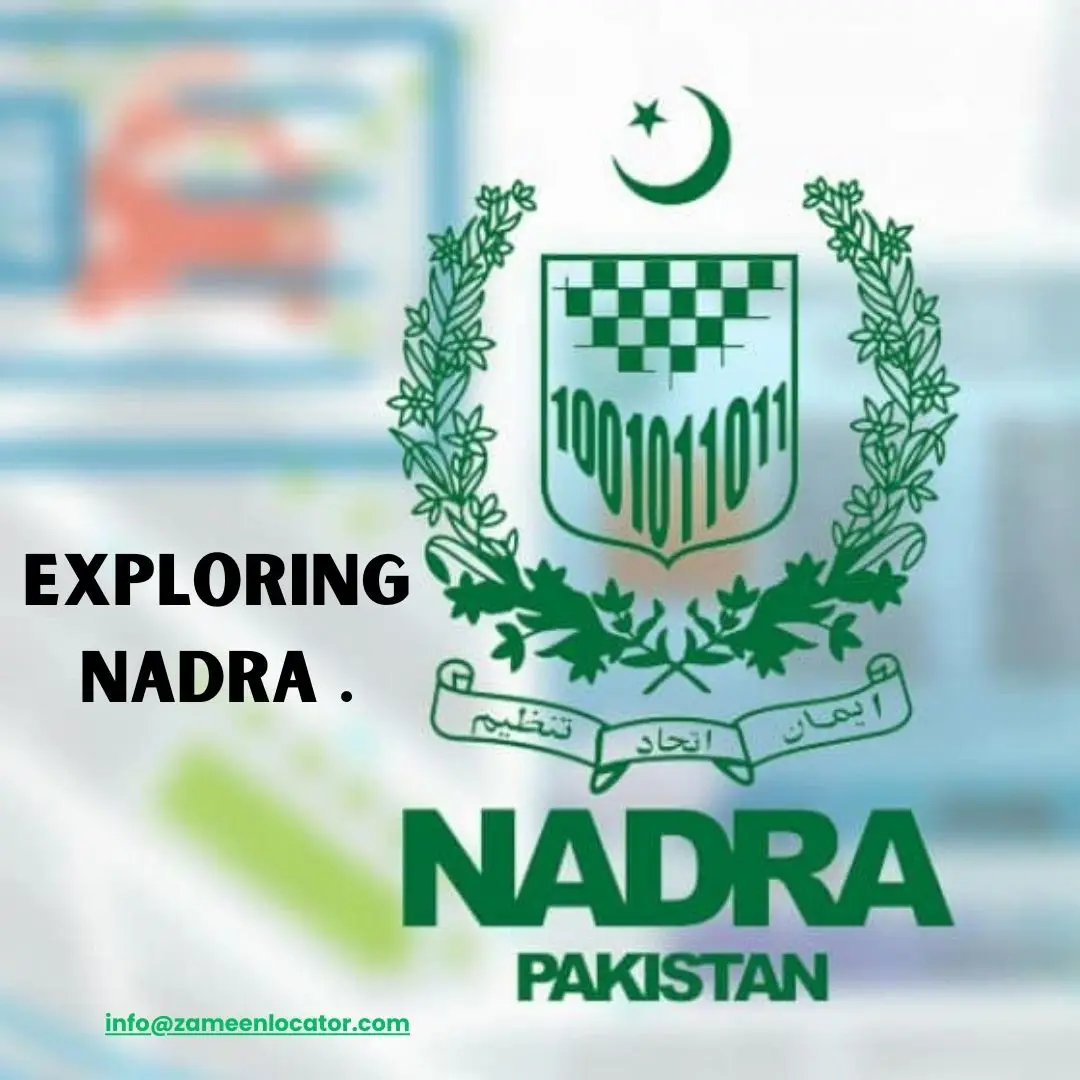 Exploring NADRA Initiatives: Local Projects, Change, and Innovation
